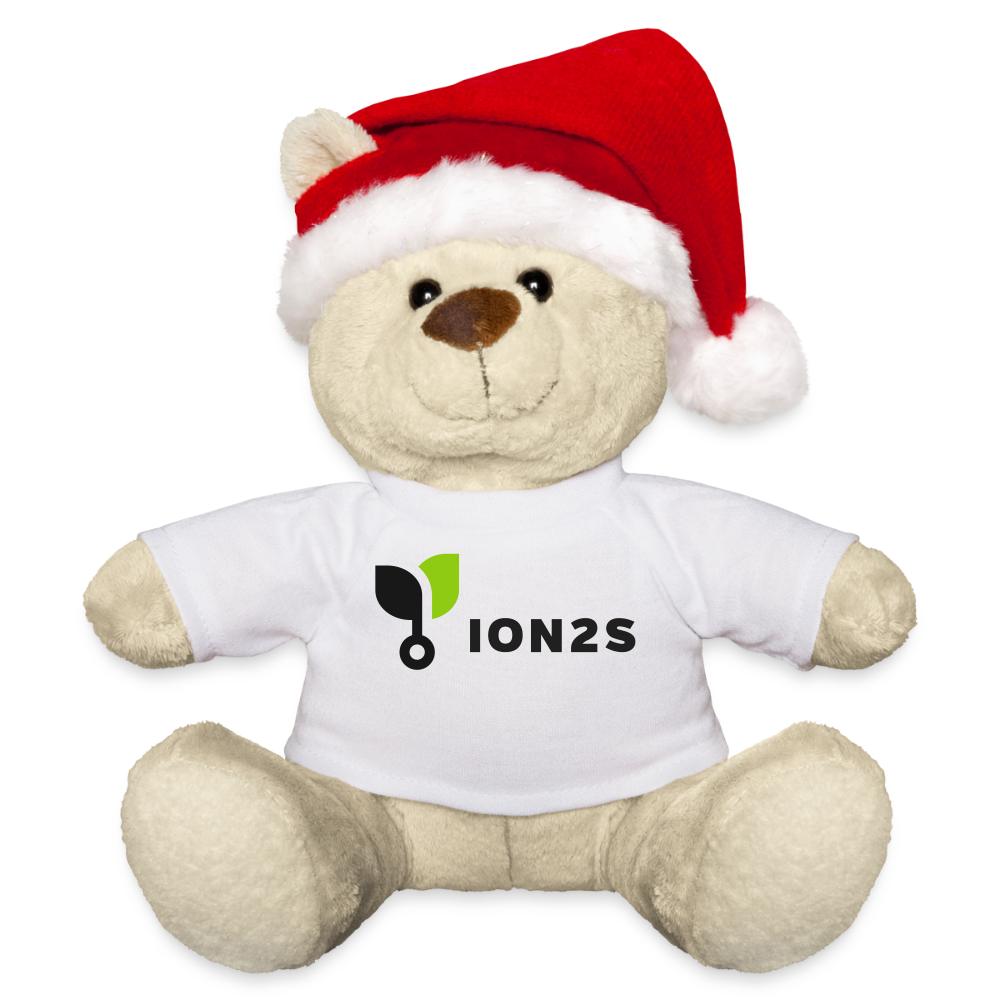 ion2s Weihnachtsteddy